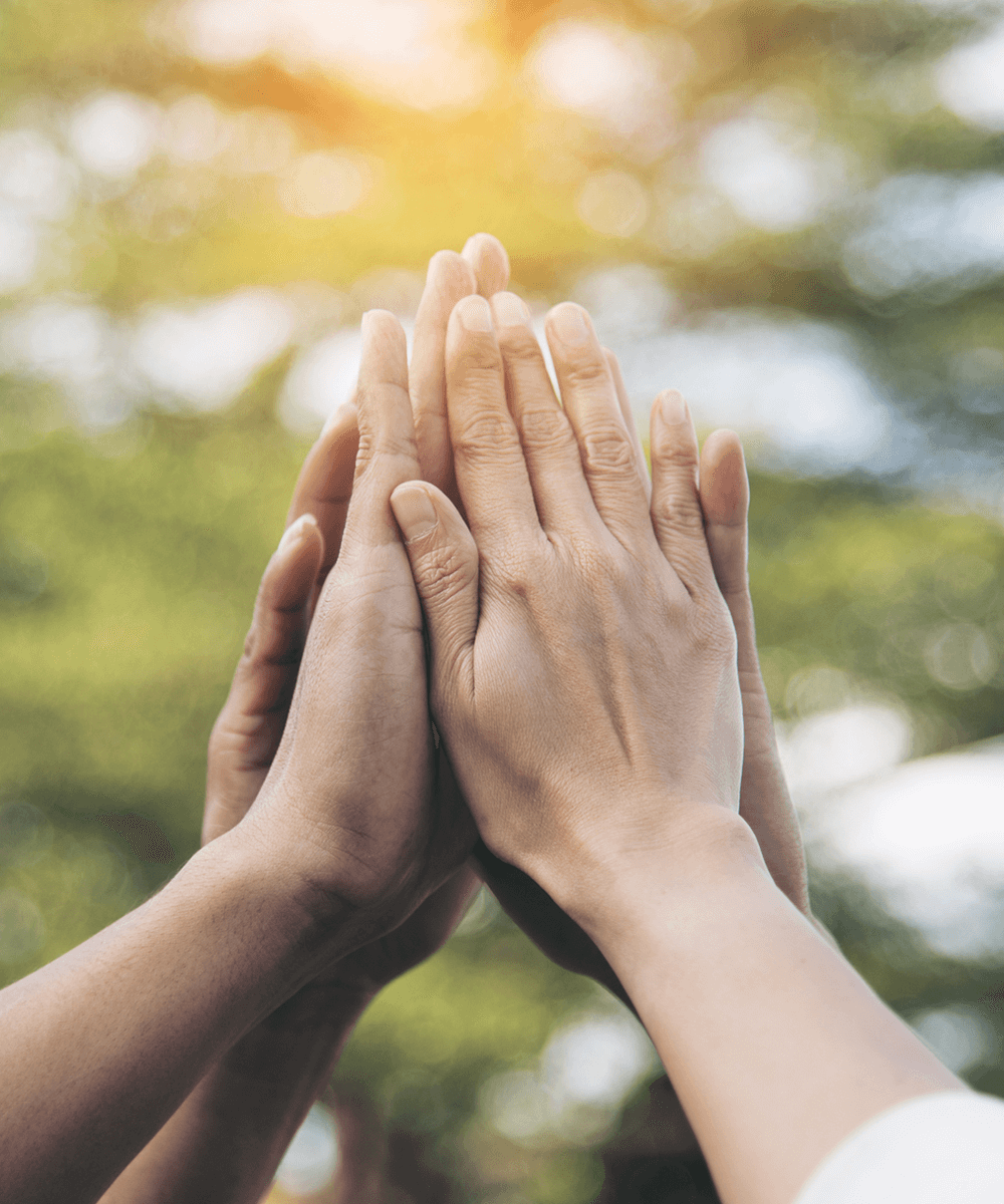 ミッションのイメージ画像