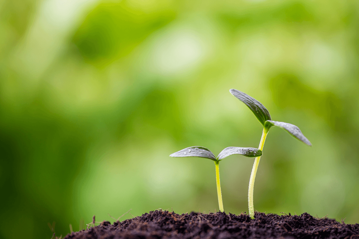 福利厚生・教育研修制度